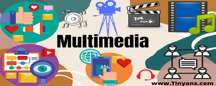 DIPLOMA IN MULTIMEDIA AND ANIMATION