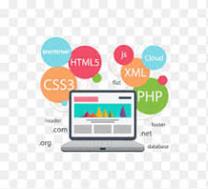 WEB DESIGNING & DEVELOPMENT